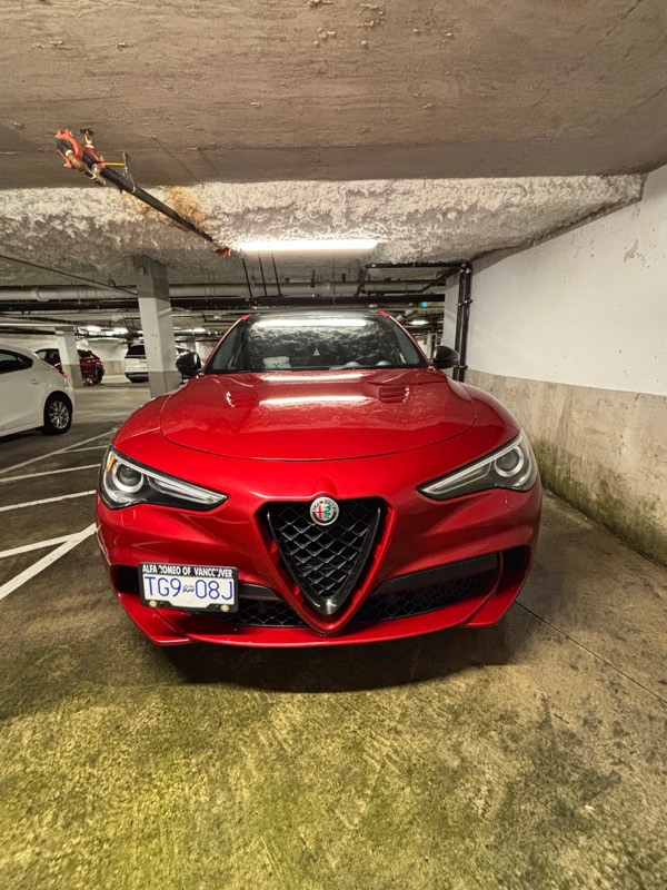Red Alfa Romeo Stelvio after an exterior detail