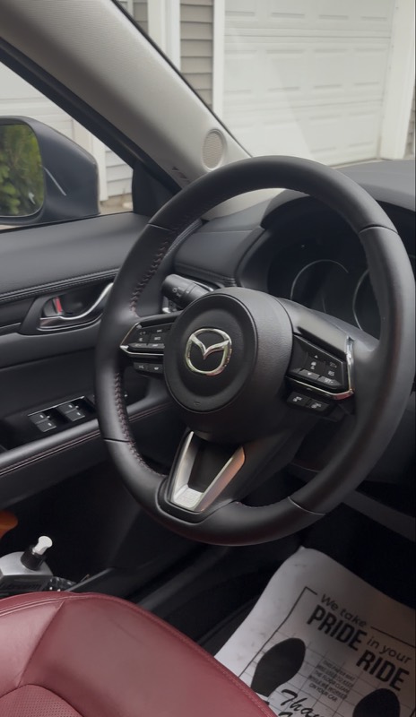 Mazda steering wheel and dash after interior cleaning