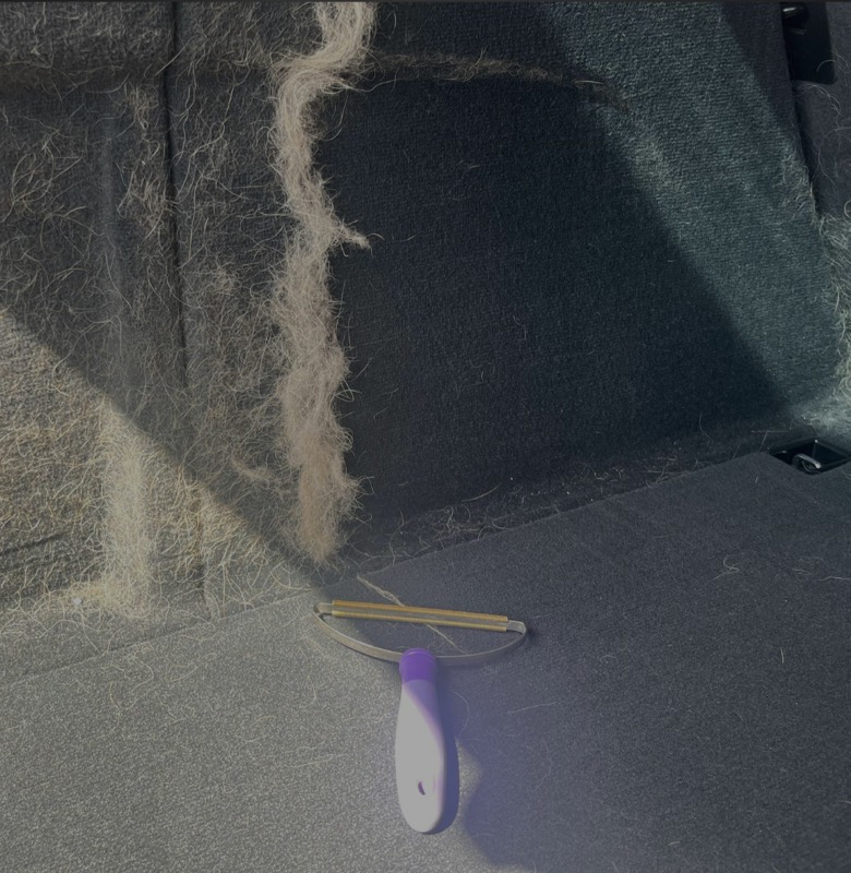 Pet hair being lifted out of trunk carpet